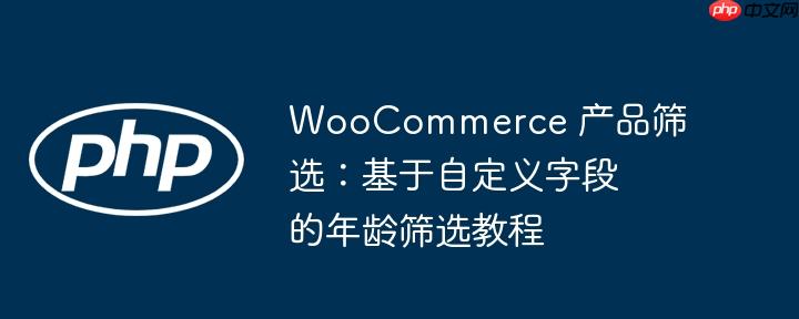 WooCommerce 产品筛选：基于自定义字段的年龄筛选教程