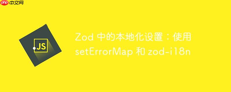 Zod 中的本地化设置：使用 setErrorMap 和 zod-i18n
