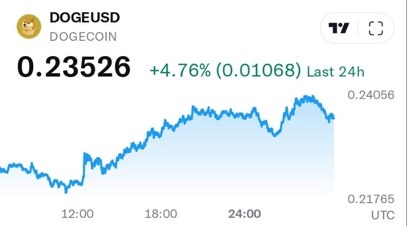 狗狗币在哪个交易所买?DOGE因2亿美元巨鲸买入上涨5.6% - 创想鸟
