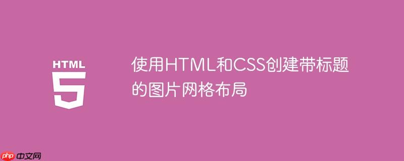 使用HTML和CSS创建带标题的图片网格布局