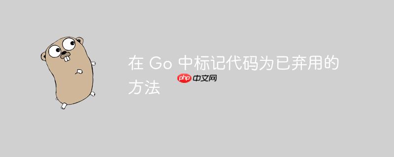 在 Go 中标记代码为已弃用的方法