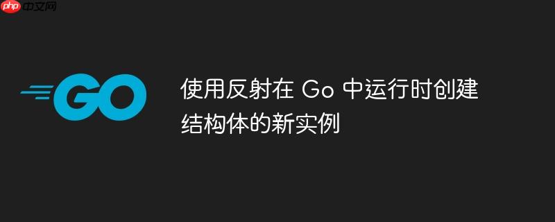 使用反射在 Go 中运行时创建结构体的新实例