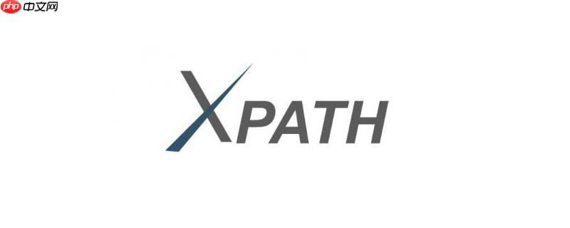 XPath的=和!=运算符有什么区别？