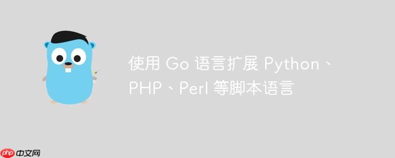 使用 Go 语言扩展 Python、PHP、Perl 等脚本语言