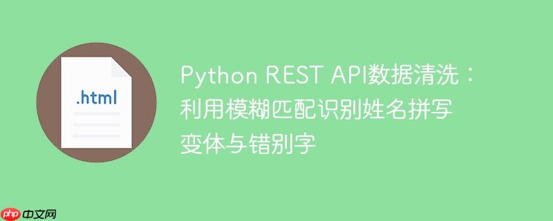 Python REST API数据清洗：利用模糊匹配识别姓名拼写变体与错别字