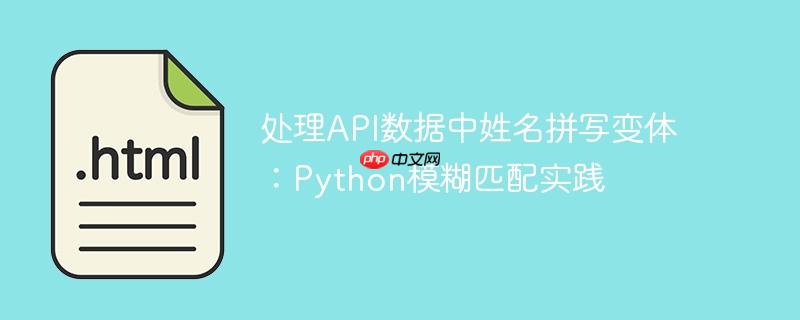 处理API数据中姓名拼写变体：Python模糊匹配实践