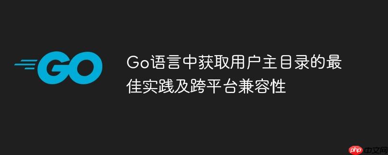 Go语言中获取用户主目录的最佳实践及跨平台兼容性