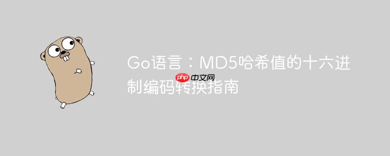 Go语言：MD5哈希值的十六进制编码转换指南