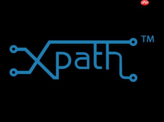 XPath的通配符怎么匹配所有元素？