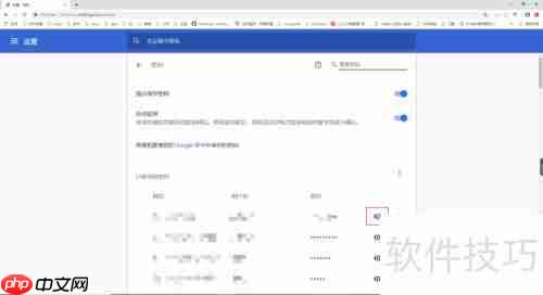 谷歌查看已保存密码方法