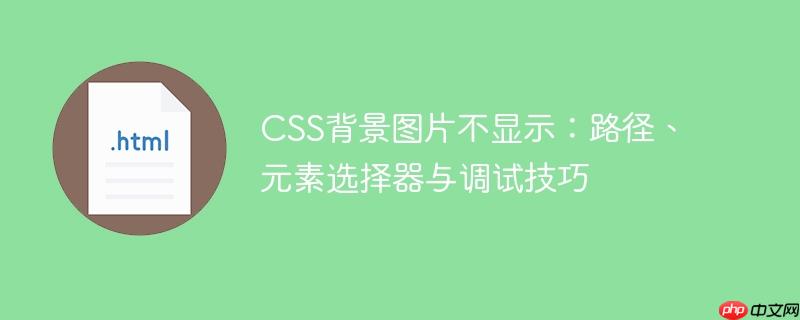 CSS背景图片不显示：路径、元素选择器与调试技巧