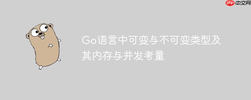 Go语言中可变与不可变类型及其内存与并发考量
