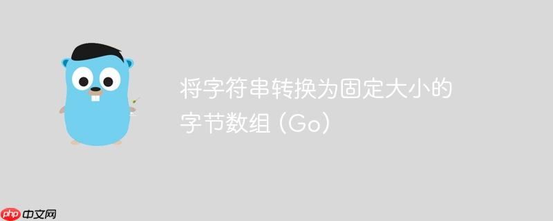 将字符串转换为固定大小的字节数组 (Go)