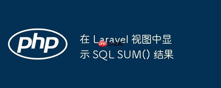 在 laravel 视图中显示 sql sum() 结果