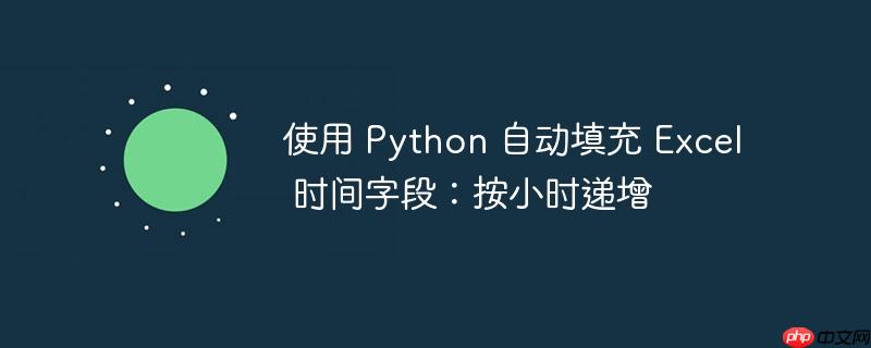 使用 python 自动填充 excel 时间字段：按小时递增