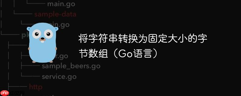 将字符串转换为固定大小的字节数组（Go语言）