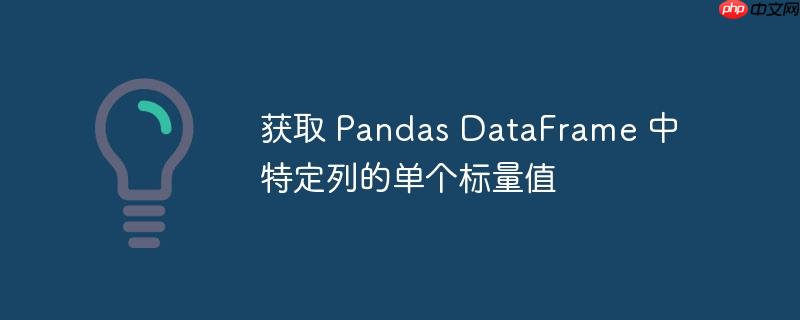 获取 Pandas DataFrame 中特定列的单个标量值