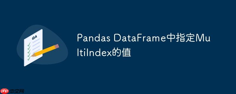 pandas dataframe中指定multiindex的值