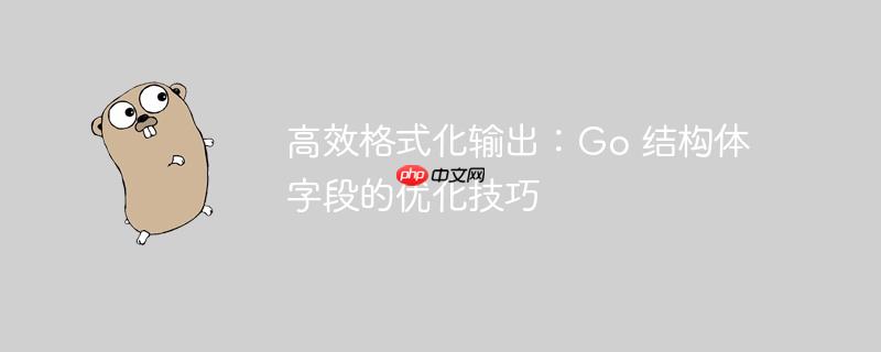 高效格式化输出：Go 结构体字段的优化技巧