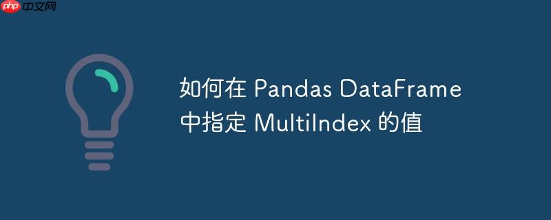 如何在 pandas dataframe 中指定 multiindex 的值