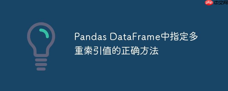 pandas dataframe中指定多重索引值的正确方法
