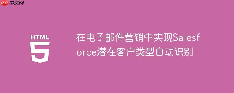 在电子邮件营销中实现Salesforce潜在客户类型自动识别