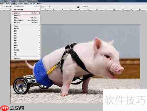 photoshop cs3快速抠图技巧