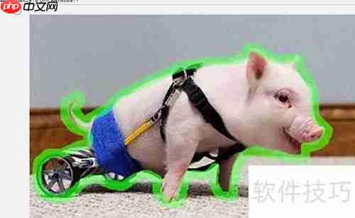 Photoshop CS3快速抠图技巧