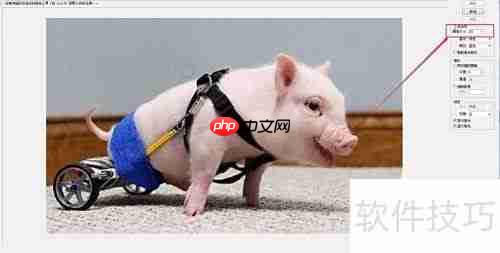 Photoshop CS3快速抠图技巧