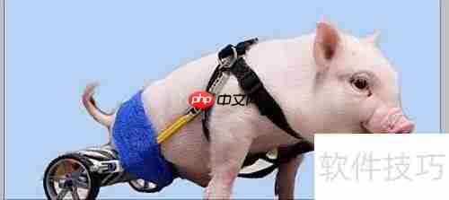 Photoshop CS3快速抠图技巧