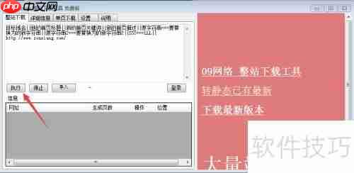前端扒站神器：IIS7下载器