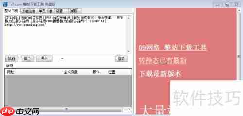 前端扒站神器：IIS7下载器