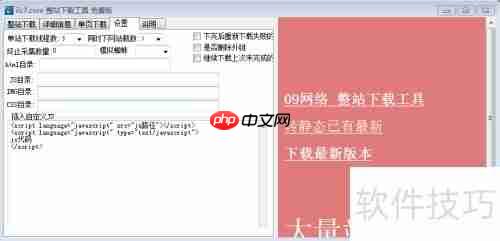 前端扒站神器：IIS7下载器