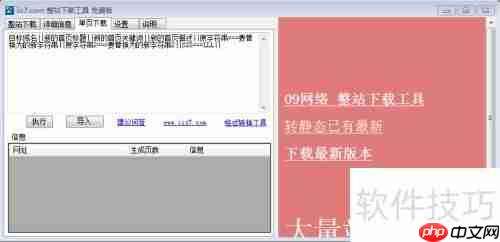 前端扒站神器：IIS7下载器