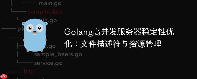 Golang高并发服务器稳定性优化：文件描述符与资源管理