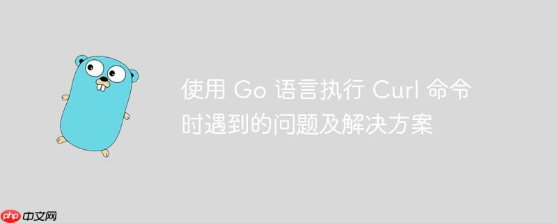 使用 Go 语言执行 Curl 命令时遇到的问题及解决方案