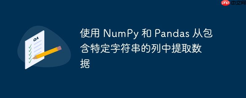 使用 NumPy 和 Pandas 从包含特定字符串的列中提取数据