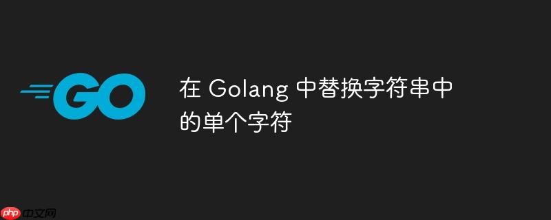 在 Golang 中替换字符串中的单个字符