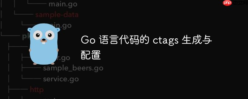 Go 语言代码的 ctags 生成与配置
