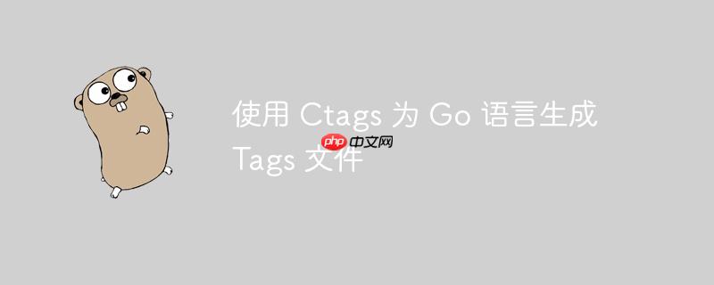 使用 Ctags 为 Go 语言生成 Tags 文件