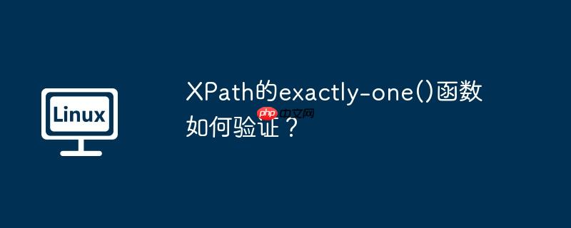 XPath的exactly-one()函数如何验证？