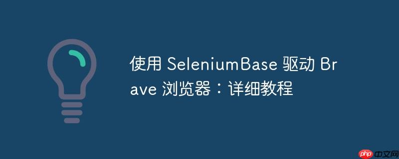 使用 SeleniumBase 驱动 Brave 浏览器：详细教程
