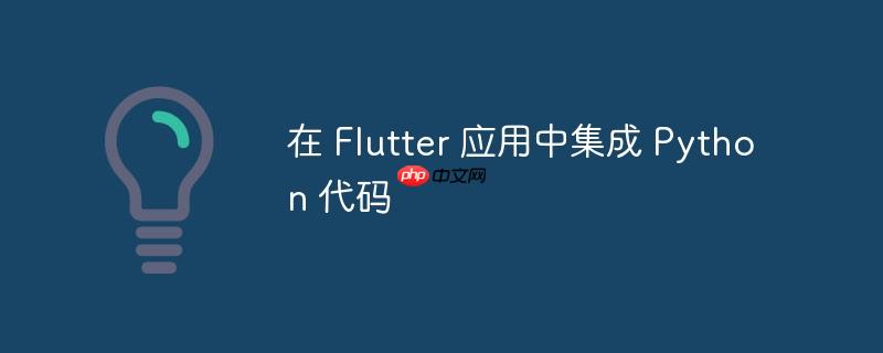 在 flutter 应用中集成 python 代码