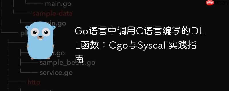 Go语言中调用C语言编写的DLL函数：Cgo与Syscall实践指南