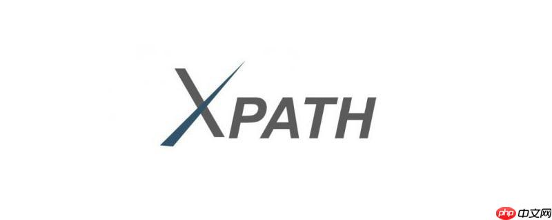 XPath的@通配符如何匹配所有属性？