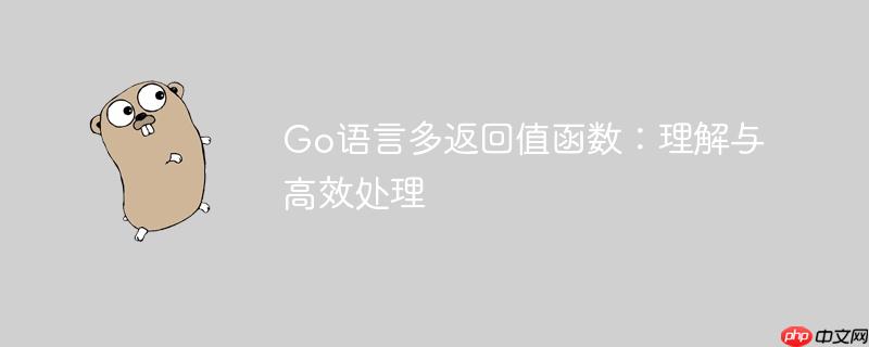 Go语言多返回值函数：理解与高效处理