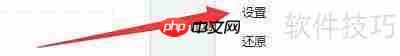 Wise Disk Cleaner语言设置指南