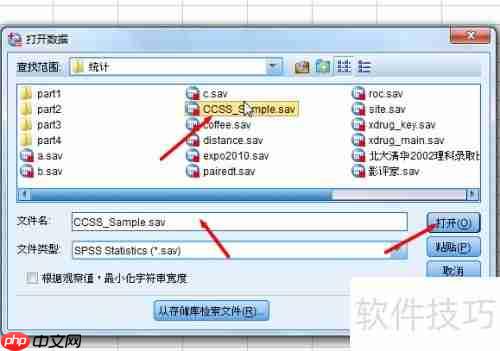 SPSS入门：快速掌握基础操作