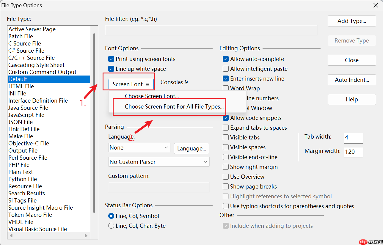 source insight如何设置字体?source insight设置字体的方法