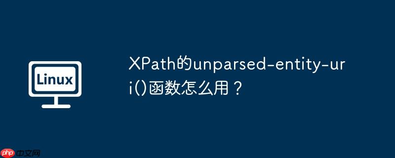 XPath的unparsed-entity-uri()函数怎么用？